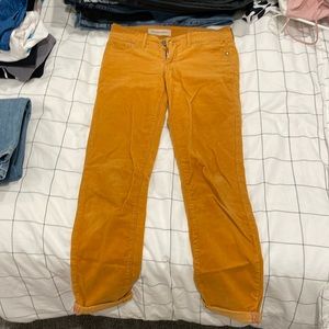 Orange corduroy pants